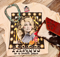 Wild Horse Boutique Clothing Famous In A Small Town Tee