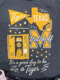 Wild Horse Boutique Graphic tshirt A Good Day To Be A Tiger Tee