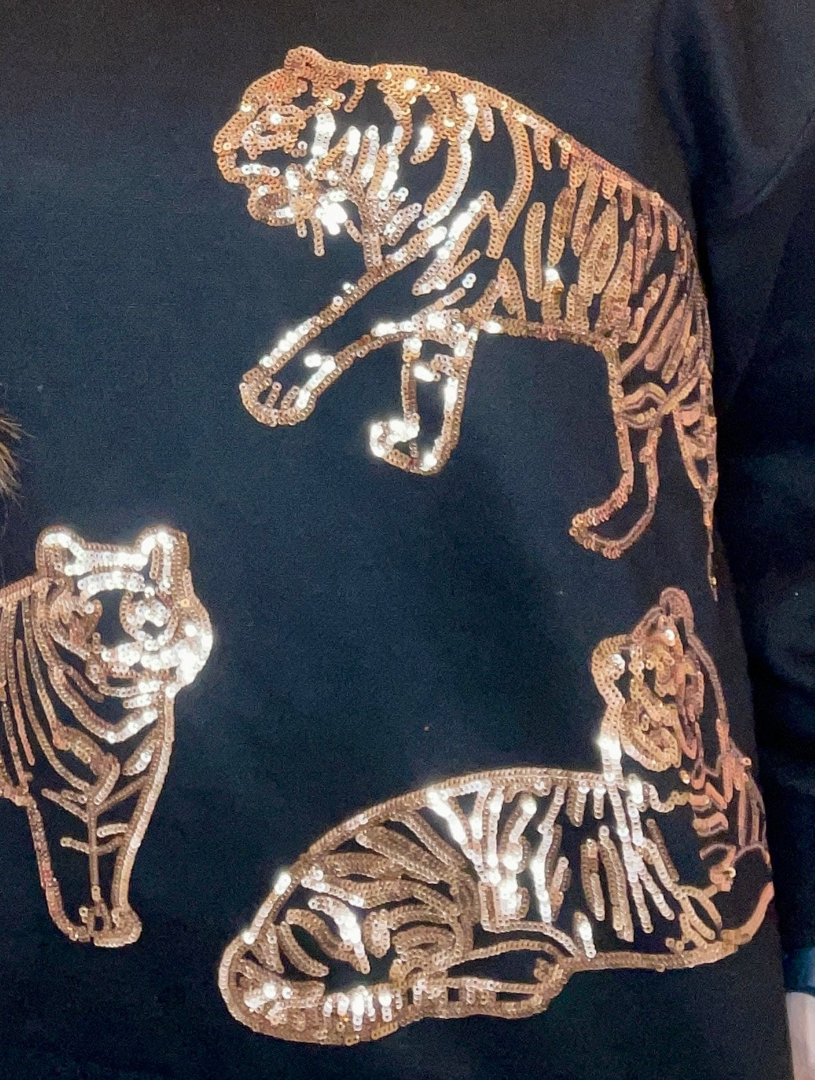 Wild Horse Boutique Shirts & Tops The Tiger Pullover